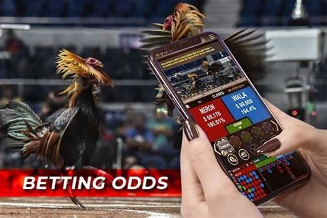 sabong odds|Sabong Decoded: Mastering Odds, Betting Options & Payouts.
